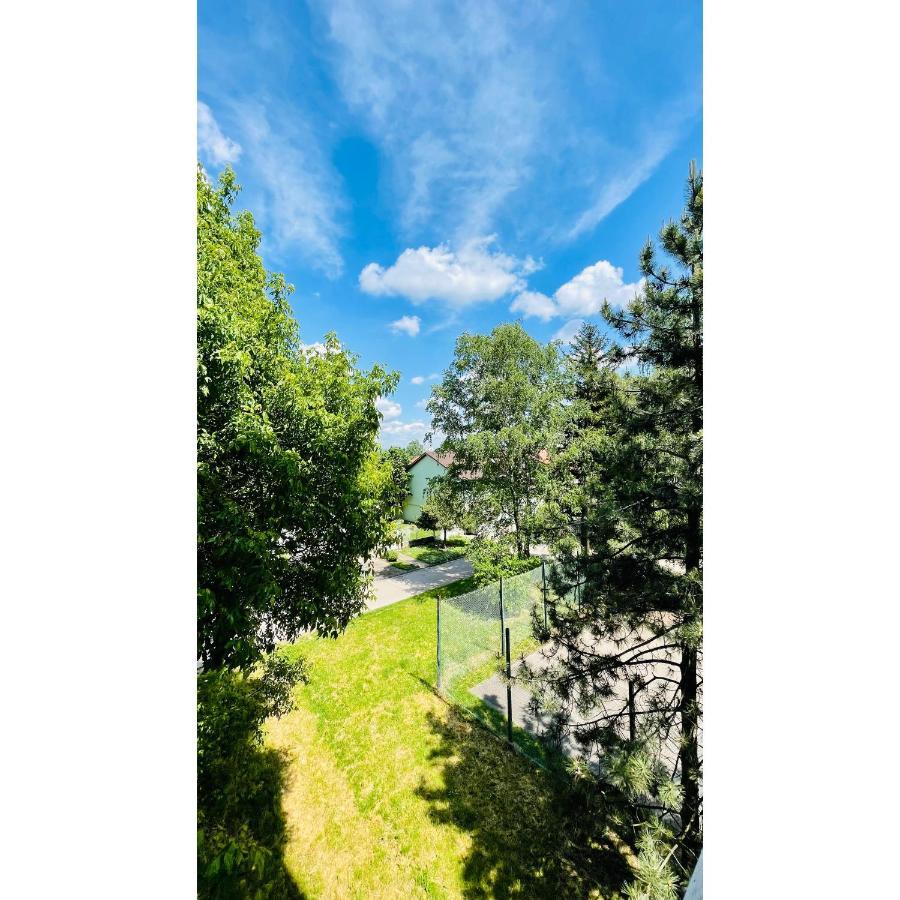 Apartman Jelena II Daire Sremska Mitrovica Dış mekan fotoğraf