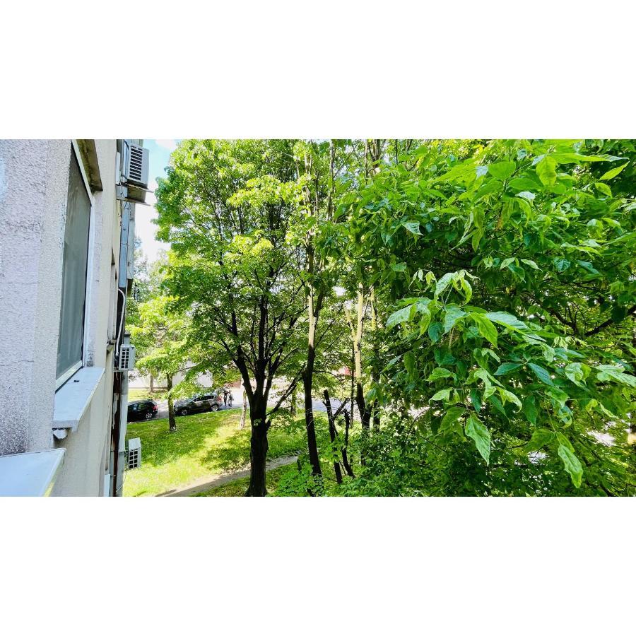 Apartman Jelena II Daire Sremska Mitrovica Dış mekan fotoğraf